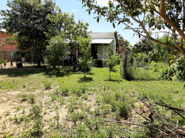 Velleda oferece sítio 1100 m², casa nova alvenaria, 1 km da RS-040 - Foto 11