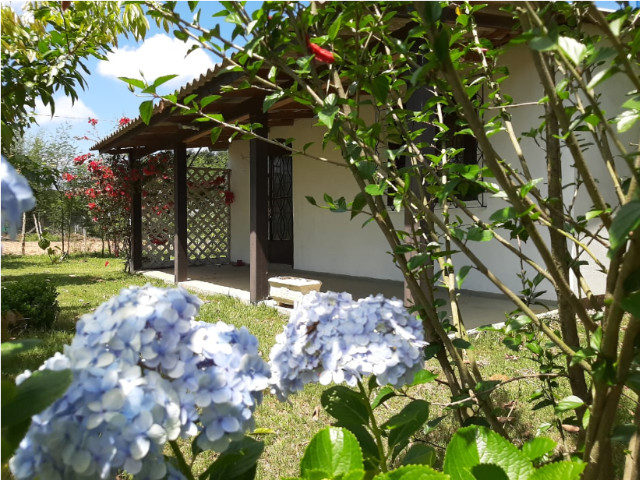 Velleda oferece sítio 1100 m², casa nova alvenaria, 1 km da RS-040 - Foto 5