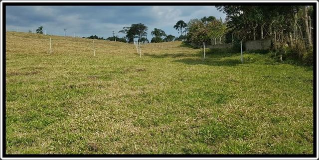 Terreno próximo á cotia - Foto 3