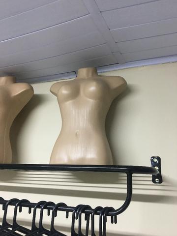 Manequim Meio Corpo Femino