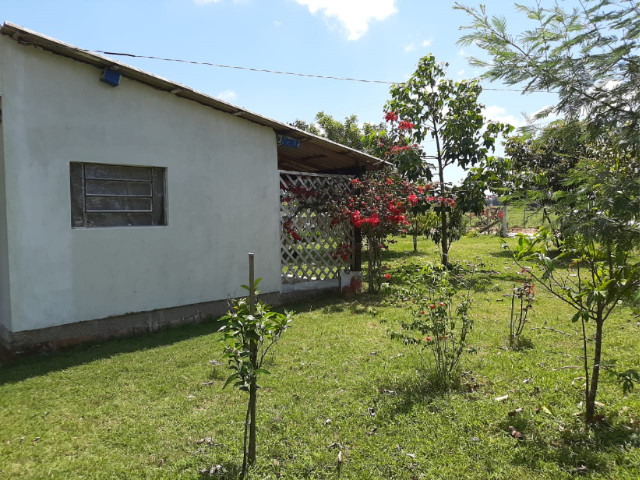 Velleda oferece sítio 1100 m², casa nova alvenaria, 1 km da RS-040 - Foto 3