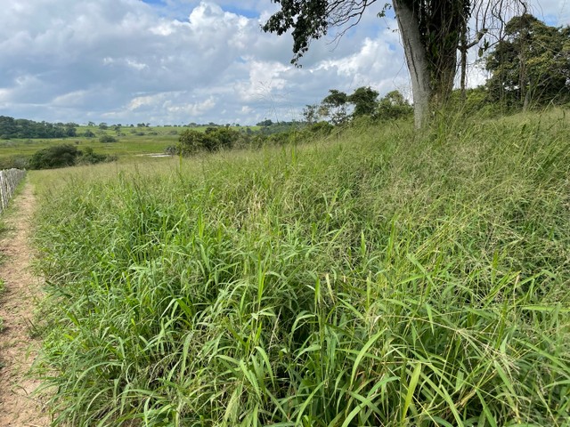 Vendo Fazendinha em São Gonçalo dos Campos 