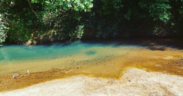 Chacara aluguel - Foto 5