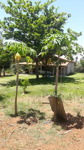 Foto - Valparaíso de Goiás - Pacaembu