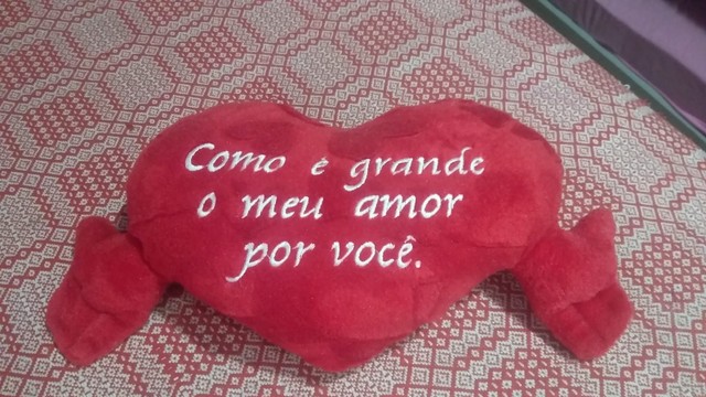 Coração pelúcia e Luigi  - Foto 3