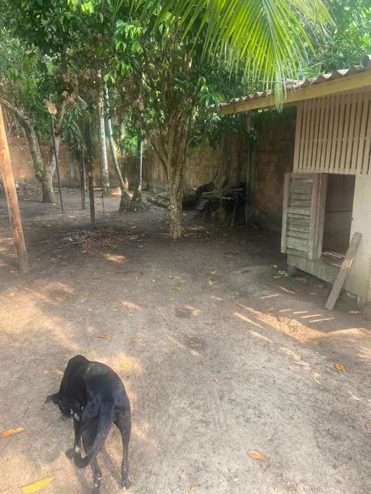 Vendo Casa com 3 quartos. - Foto 5