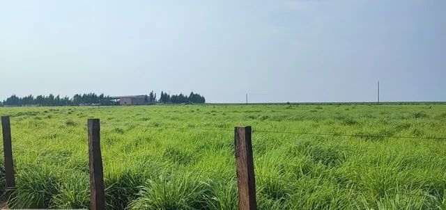 Fazenda de 15.808 ha em Tangará da Serra-MT - Foto 3
