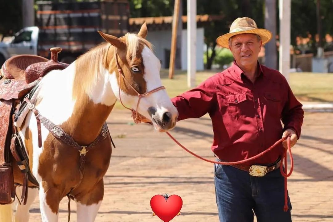 Paint Horse  - Foto 5