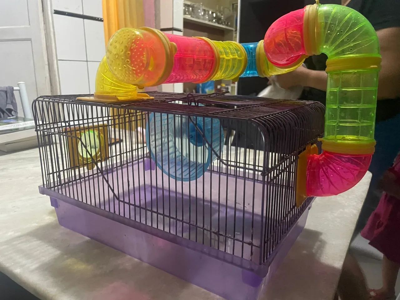 Gaiola hamister completa 64313865362818121