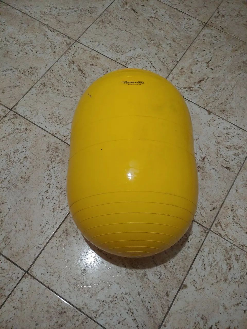 Bola para fisioterapia64293891923201120
