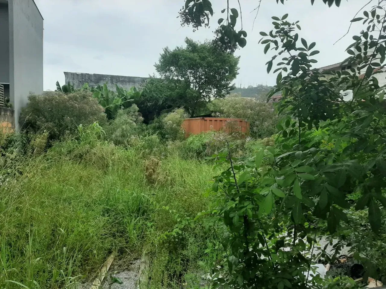 Terreno à venda no bairro Santa Mônica - Florianópolis - SC