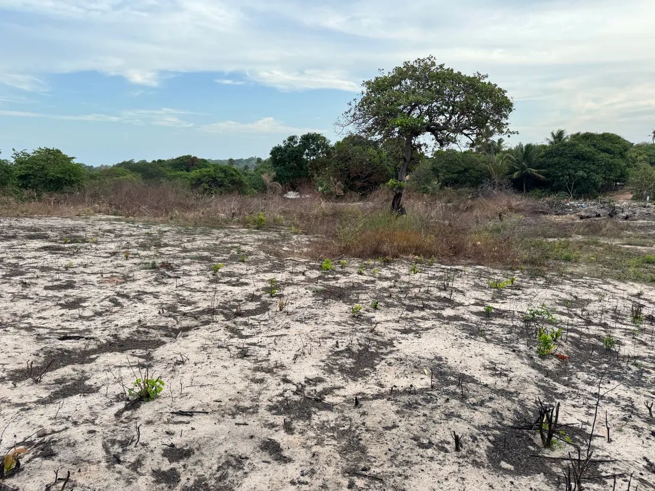 Terreno em Ribamar 40.000 metros  - Foto 9