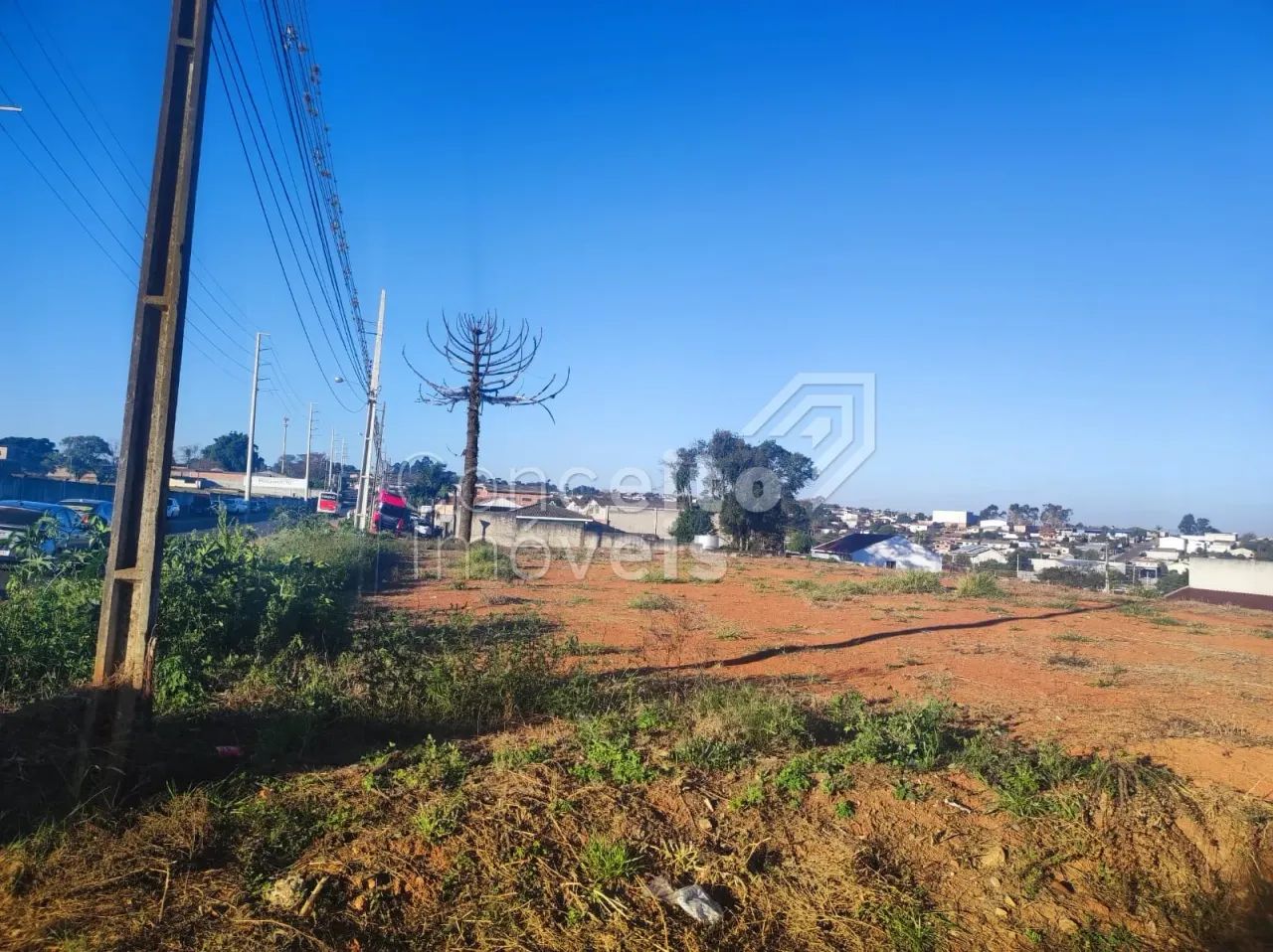 Terreno - Jardim das Cerejeiras - Colônia Dona Luiza - Foto 3