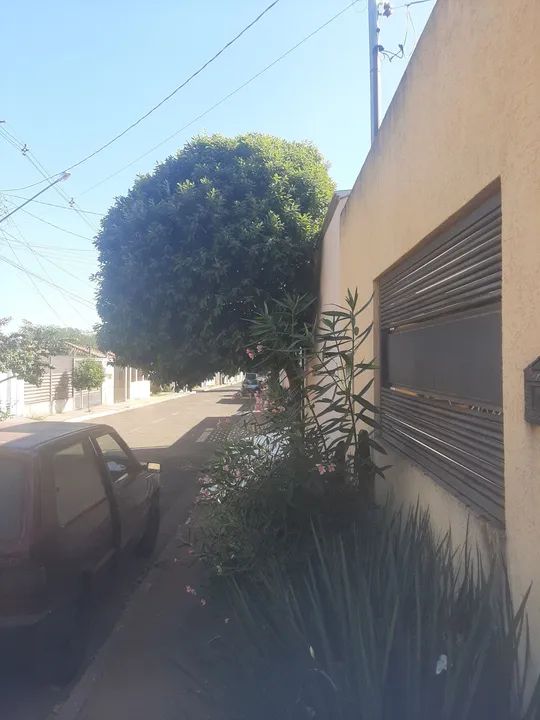 ? jardinagem nossa senhora Aparecida  - Foto 3