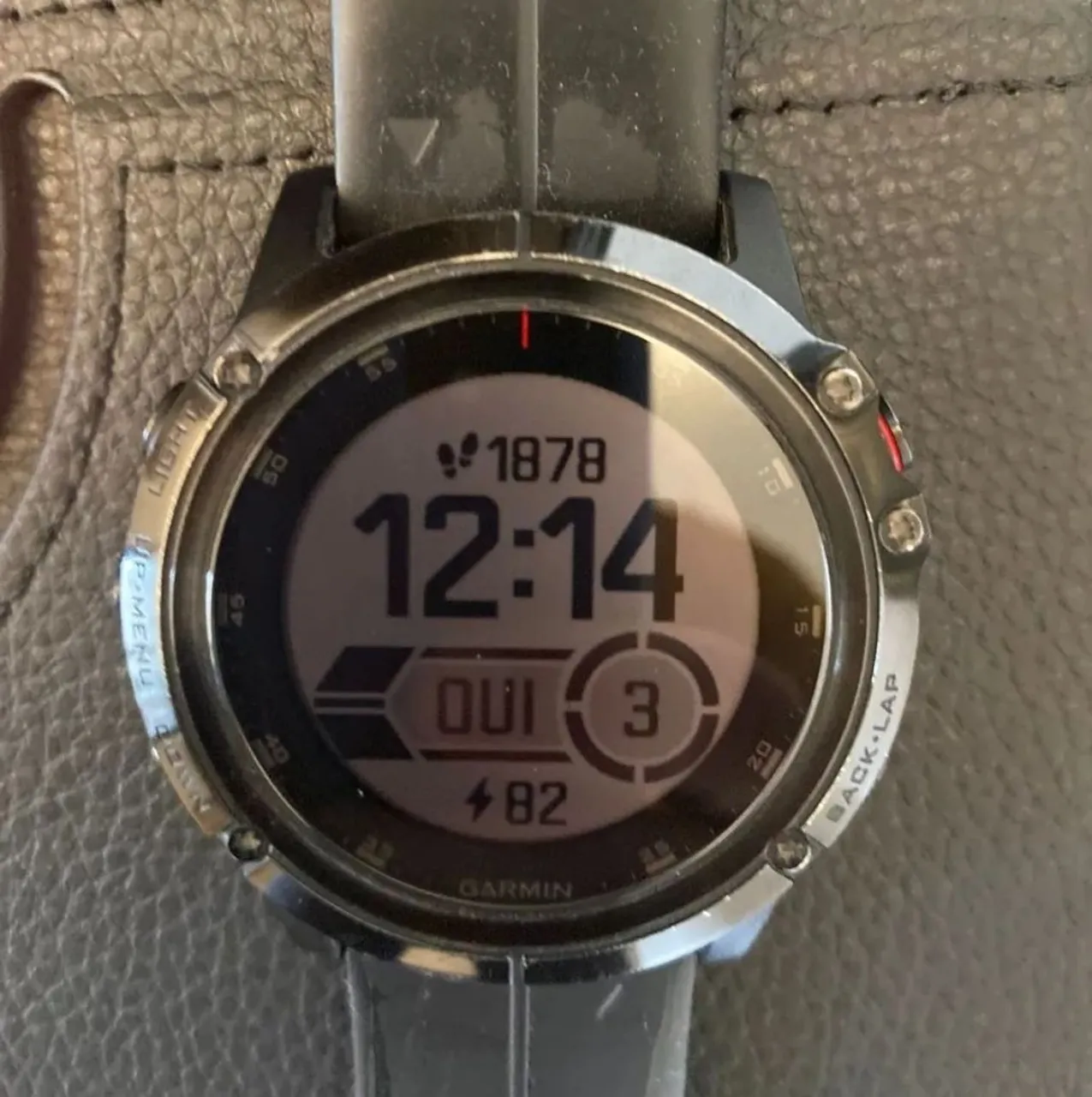 Garmin fenix 5x plus