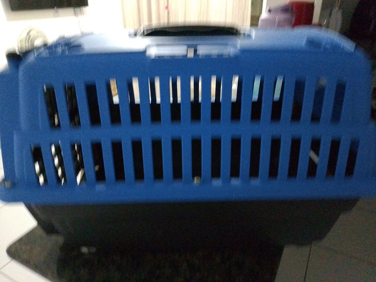 Caixa de Transporte para Pets por 70 estar novinha usada 1 vez só  falar Polyana * - Foto 2
