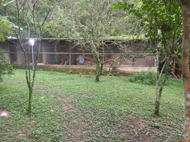 Sítio na serra de itaguaí - Foto 5