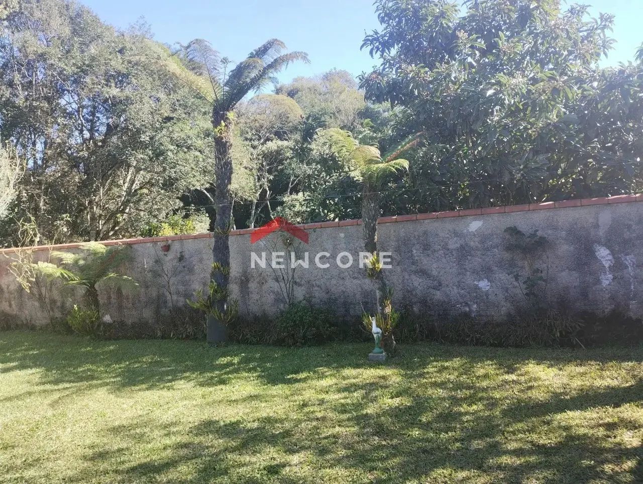 Chácara em Área Rural - Área Rural de São José dos Pinhais - São José dos Pinhais/PR - Foto 3