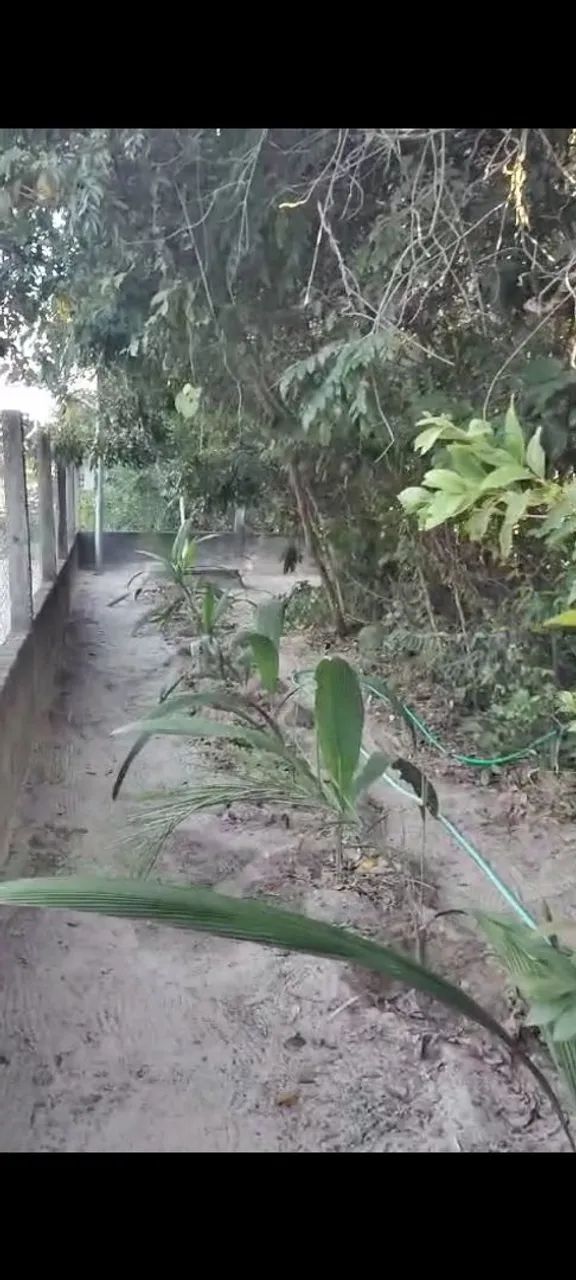 CASA NO ARAGUAIA (ITACAIU) - Foto 4