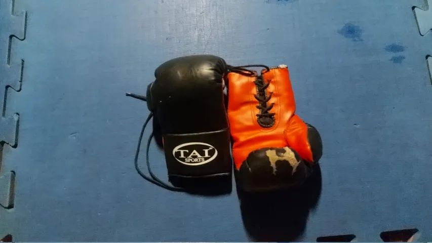 Luva Tai Sports 