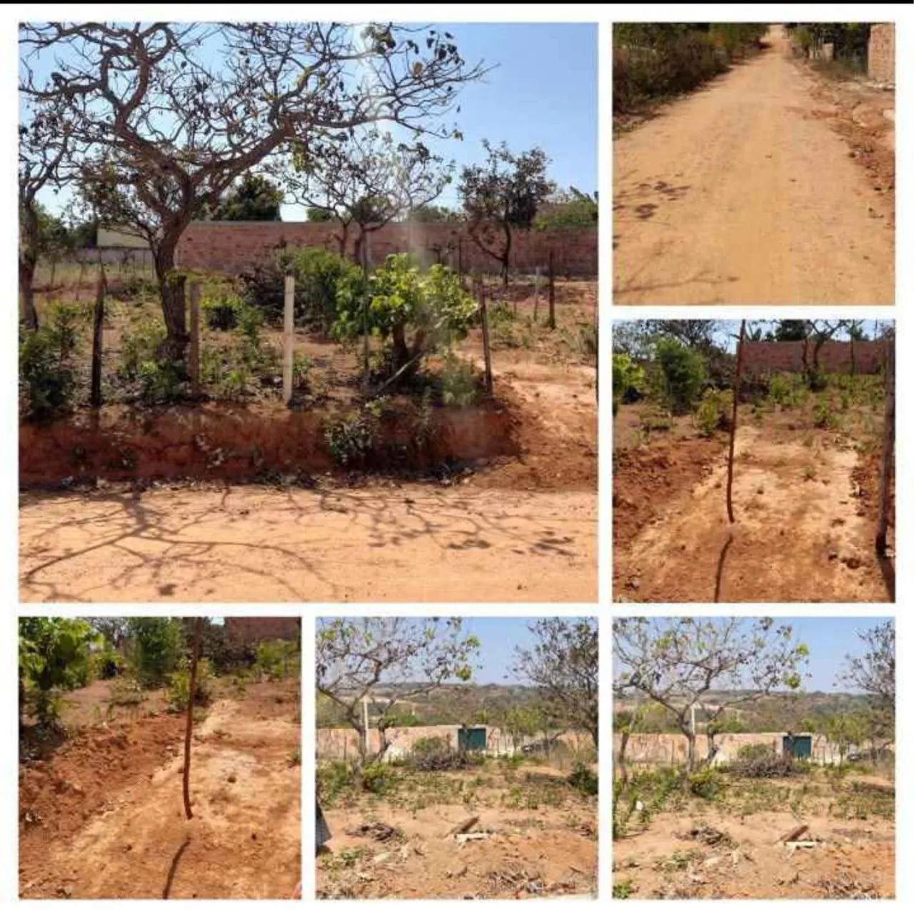 Foto - Contagem - Flamengo