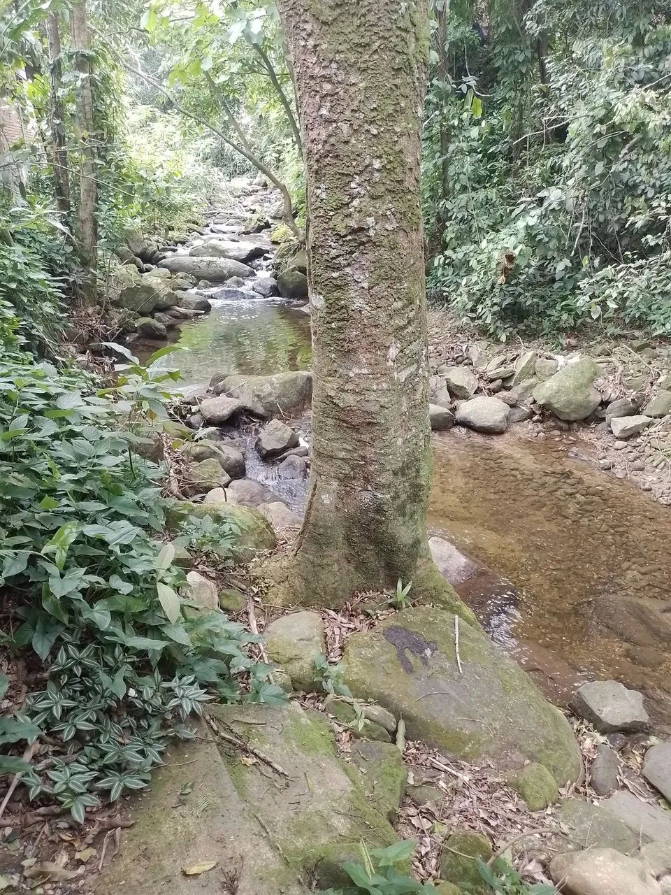 Foto - São João de Meriti - Vila Tiradentes