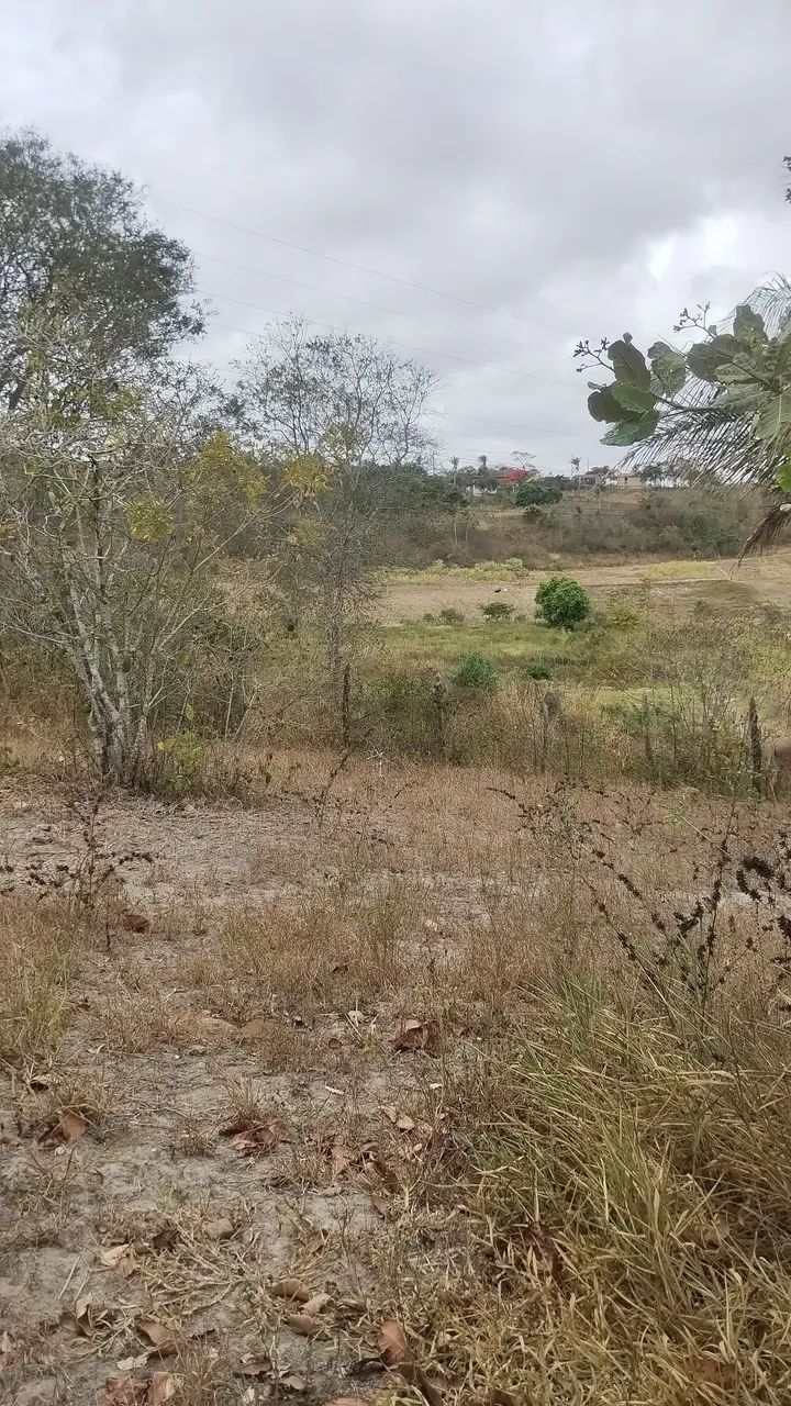  Sítio em Jenipapo com 0,8 hectare com escritura e registro público  - Foto 2
