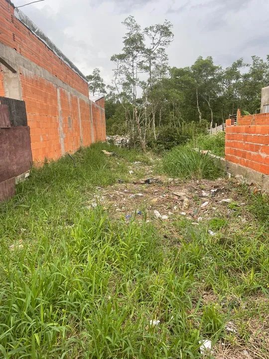 Terreno no quarentenário São Vicente  - Foto 3