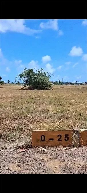 Terreno no Mar de Japaratinga - Centro - Foto 5