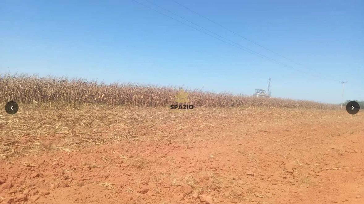 Fazenda, Centro, São José do Rio Claro, Cod: 145 - Foto 5