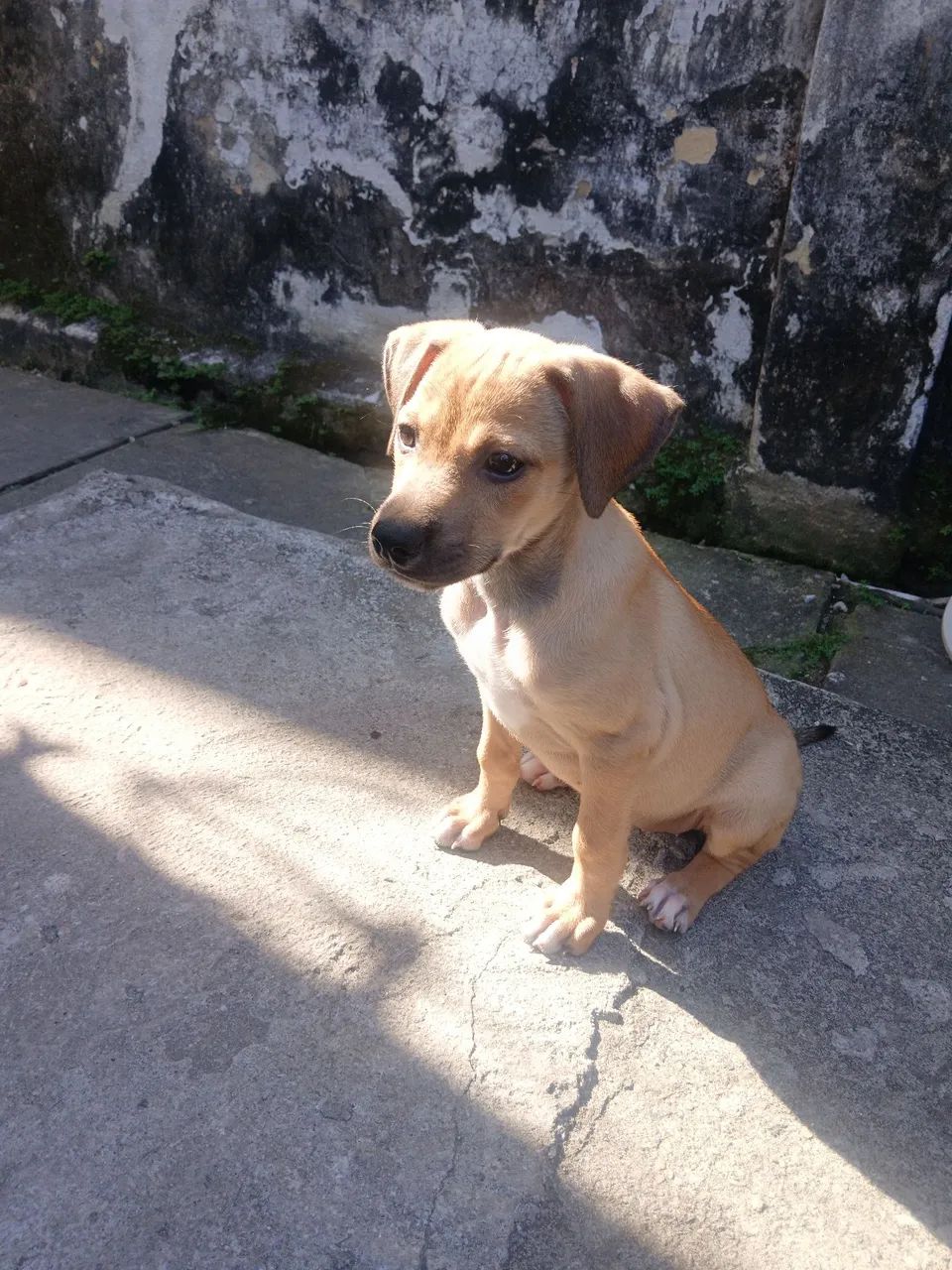 Doaçao