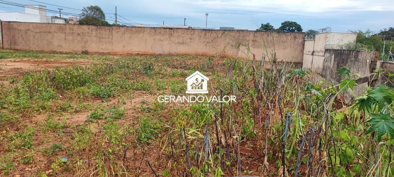 Terreno Único com 300m² - Foto 3