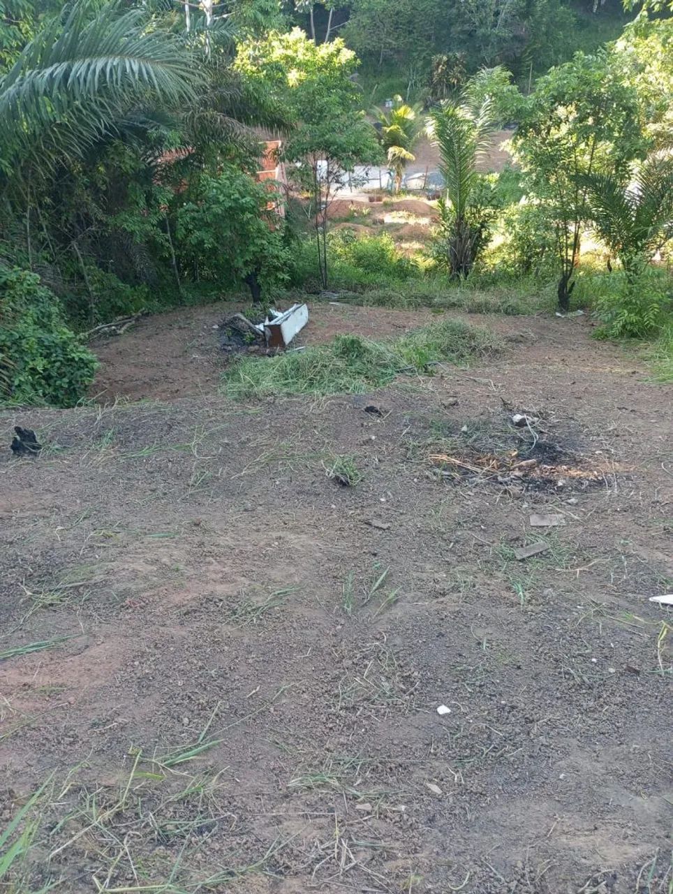 Terreno  - Foto 4