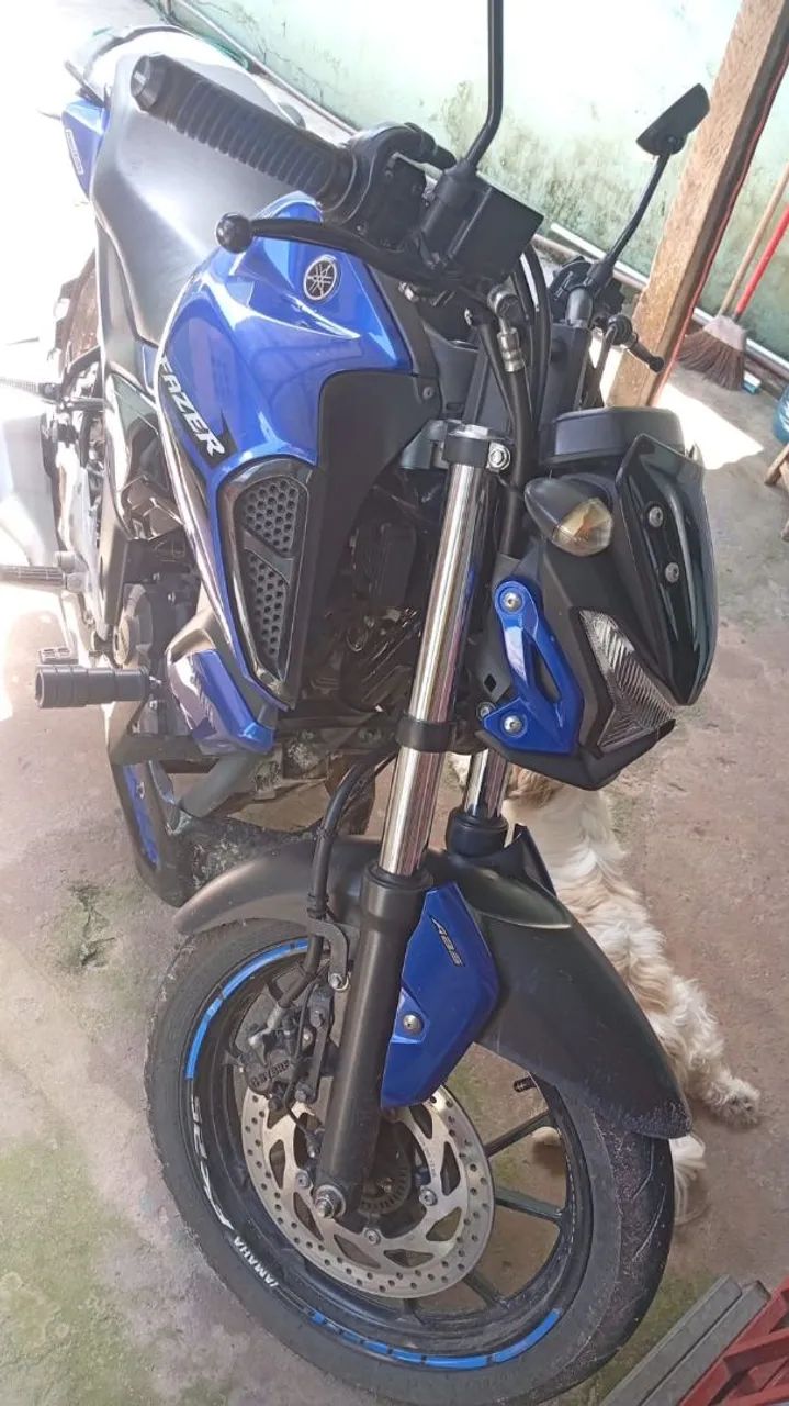 Faz 15