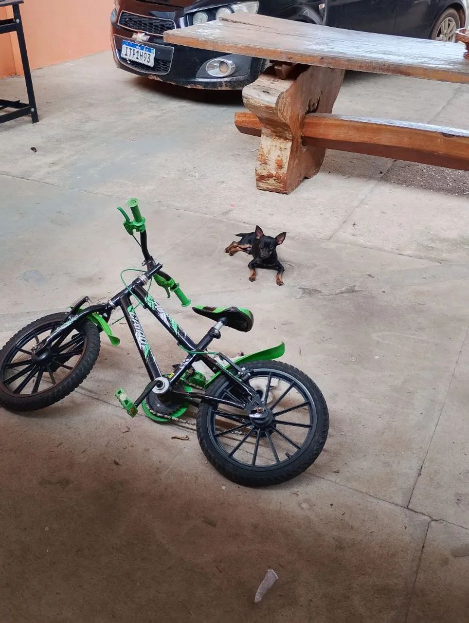 Vendo este Pincher n1