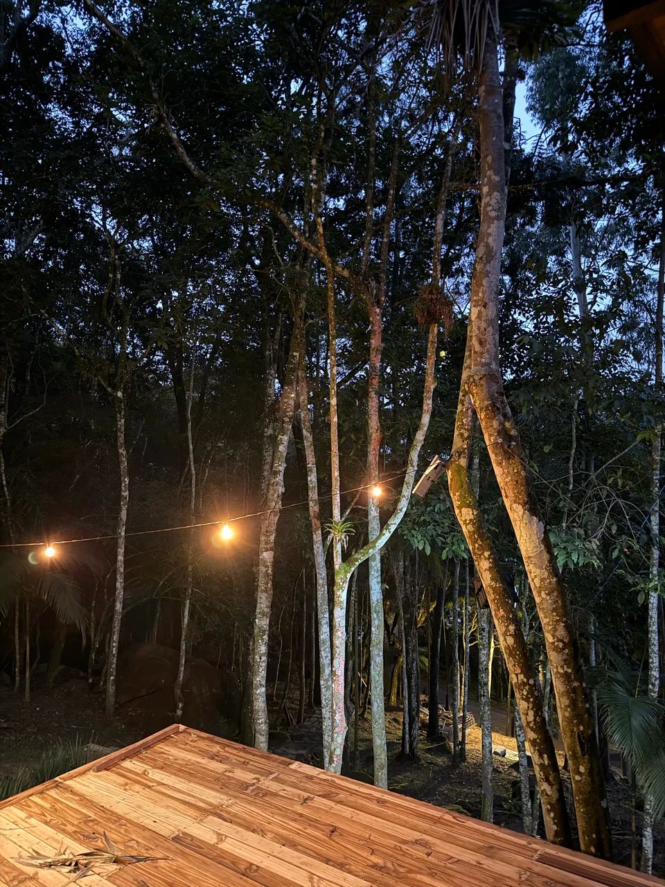 Lindo Sítio em itapema  - Foto 4
