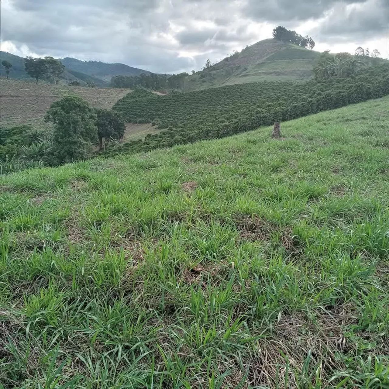 Terreno - Foto 2