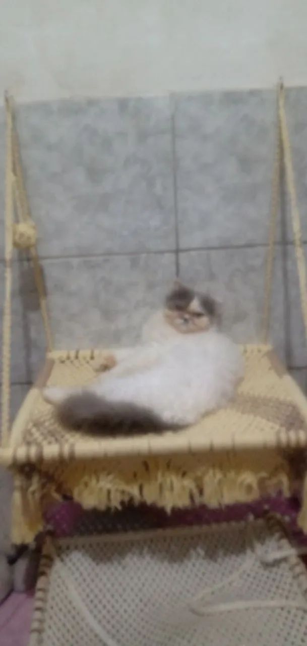 Cama macramé suspensa pra gatos - Foto 4