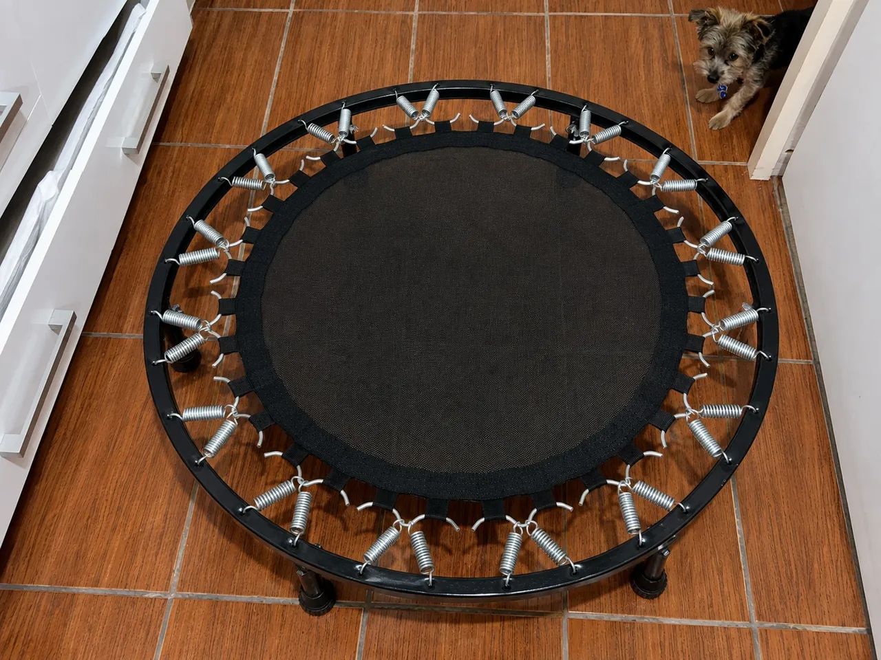 ? JUMP / MINI CAMA ELÁSTICA ? R$ 150 - Foto 2