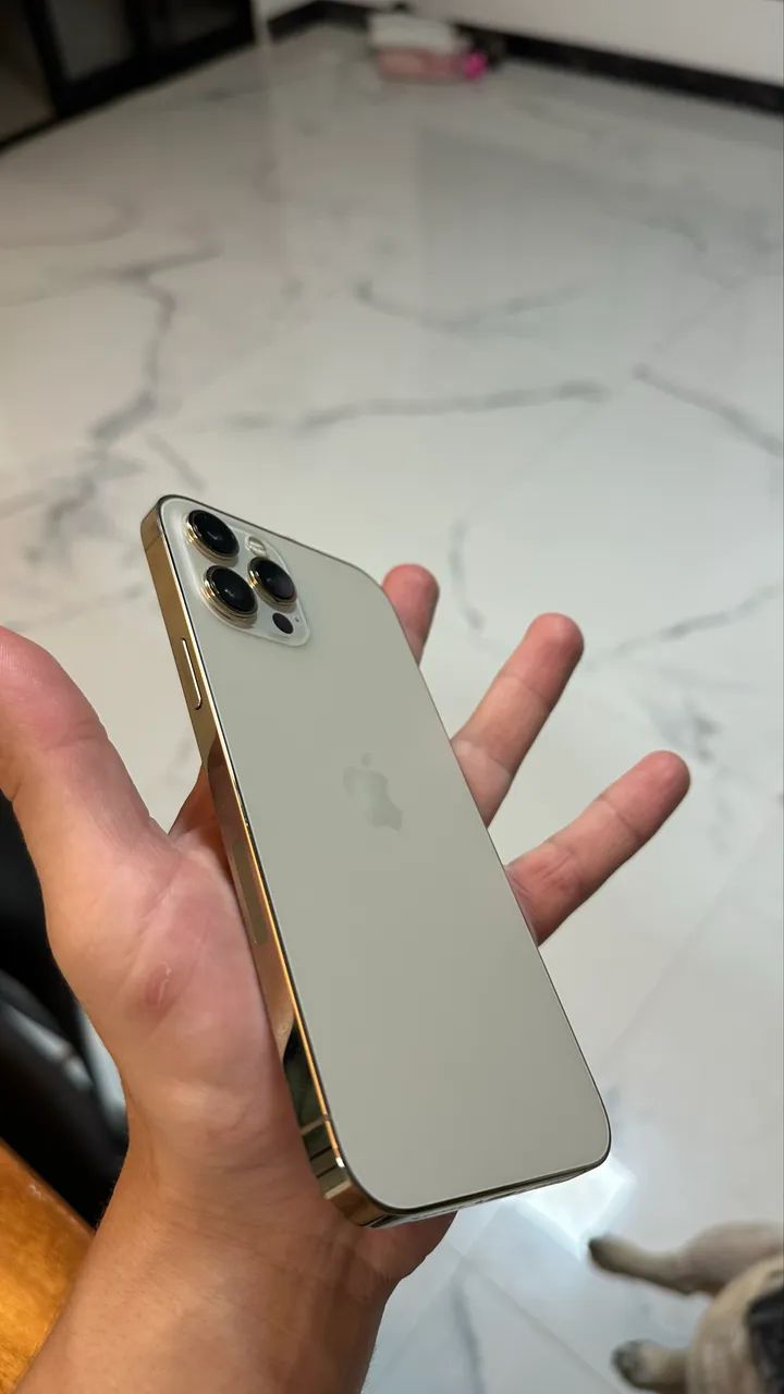 iPhone 12 Pro Max 