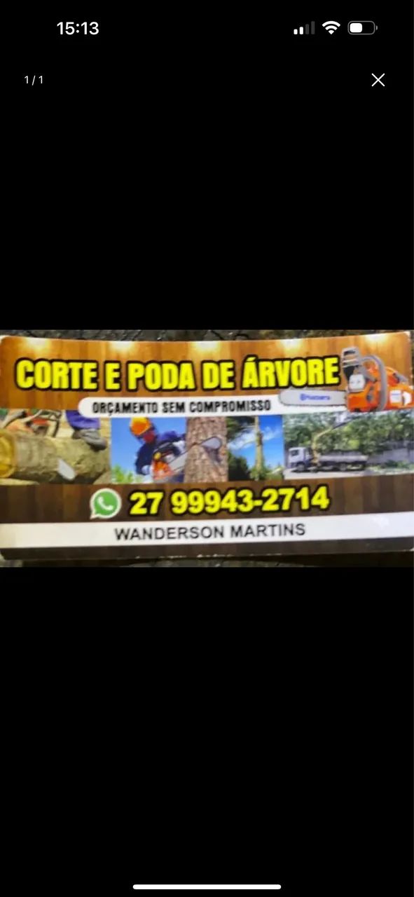 Corte e poda de árvore 