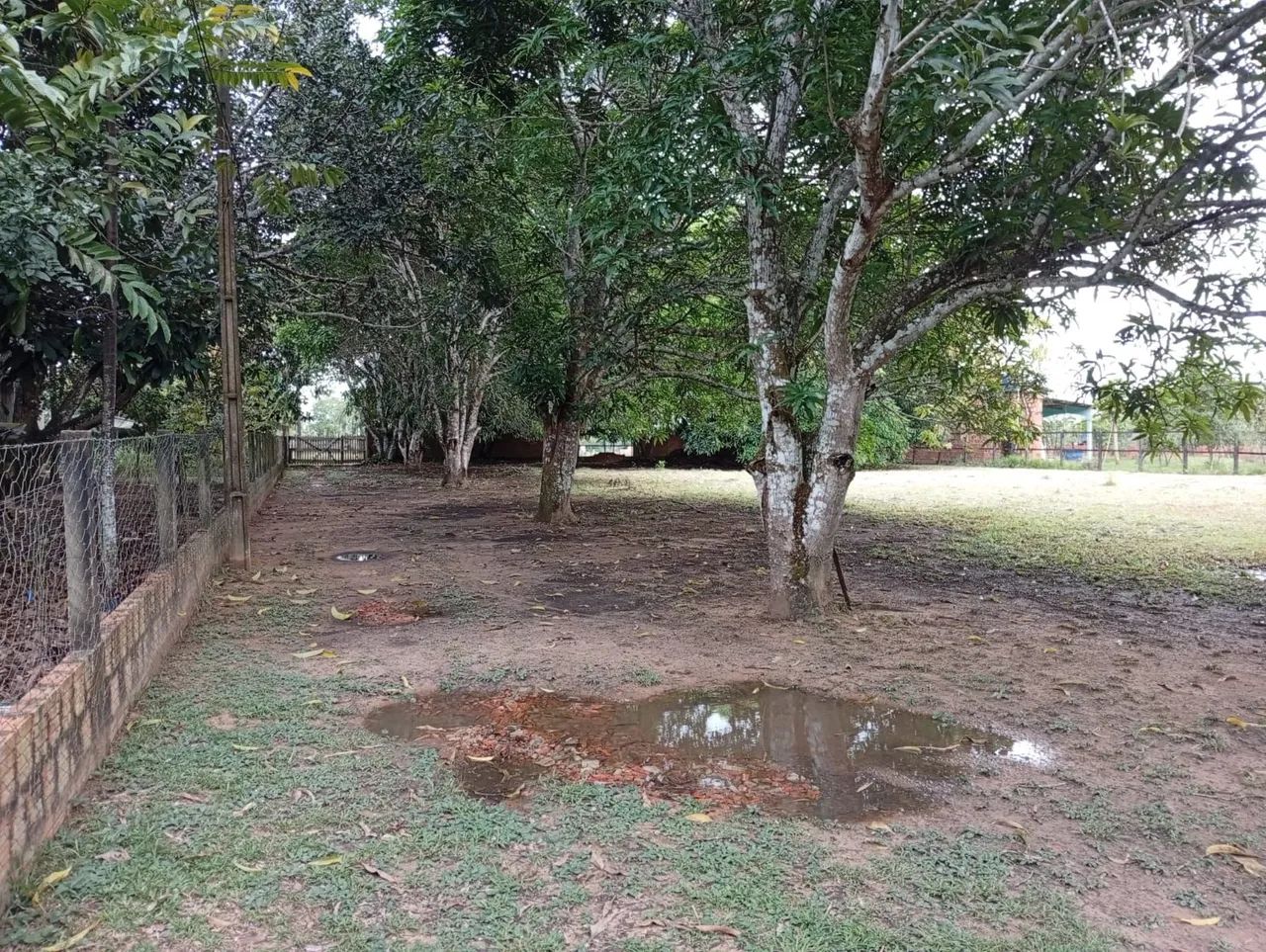 Vendo uma chácara  - Foto 4