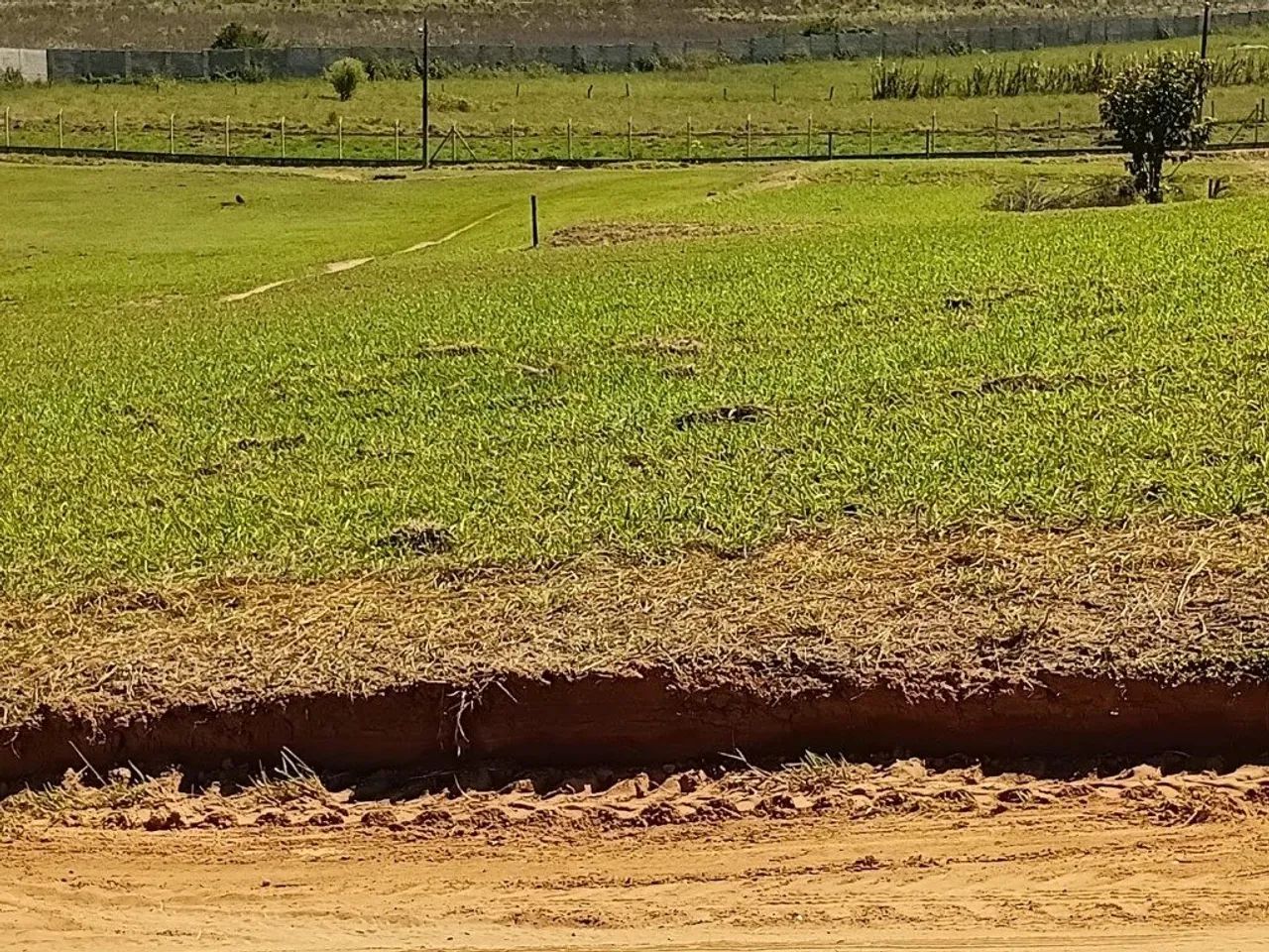 lotes em alambari - Foto 3