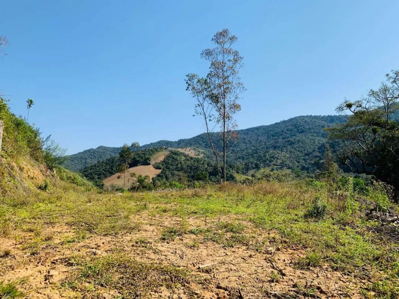 Terreno Rural para Venda em Angelina, BARRAGEM - Foto 5