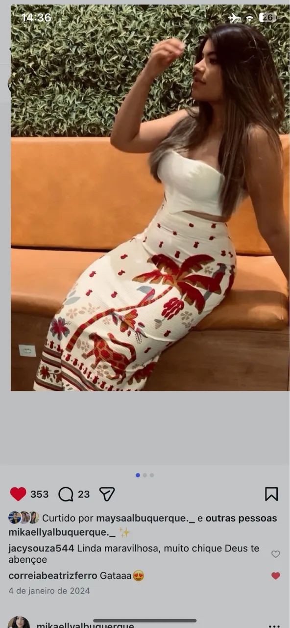 Saia original farm  - Foto 3