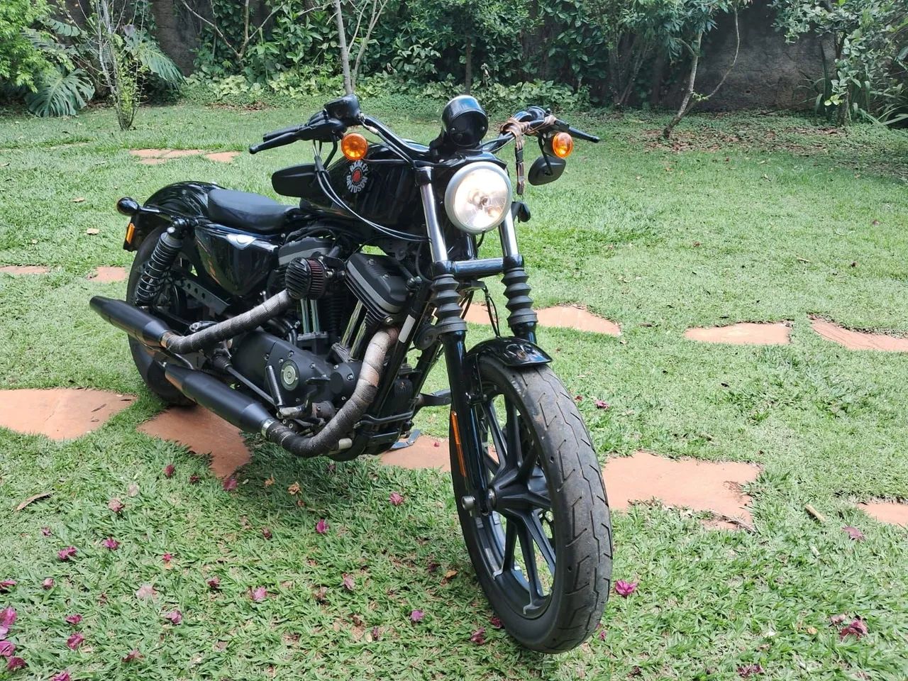 Harley davidson 883 Iron 