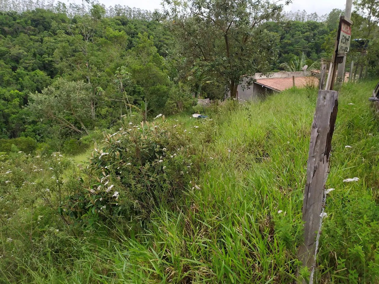 Foto - São José dos Campos - Conjunto Residencial Dom Pedro I