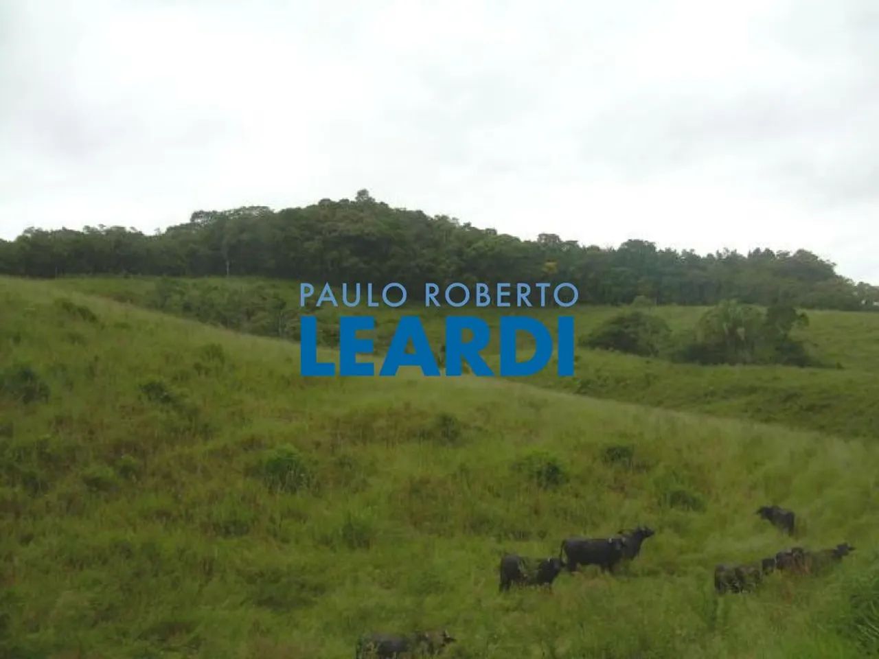 AREA - PARQUE SANTA ROSA - SP