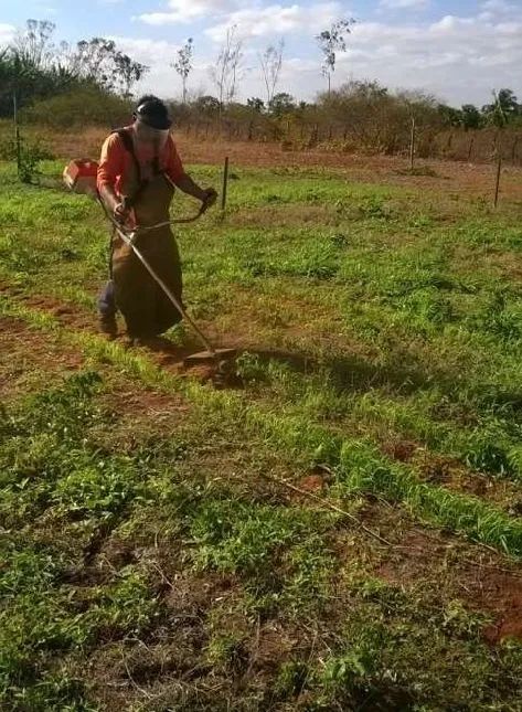 VAGA ABERTA - CHACAREIRO <br> - Foto 2