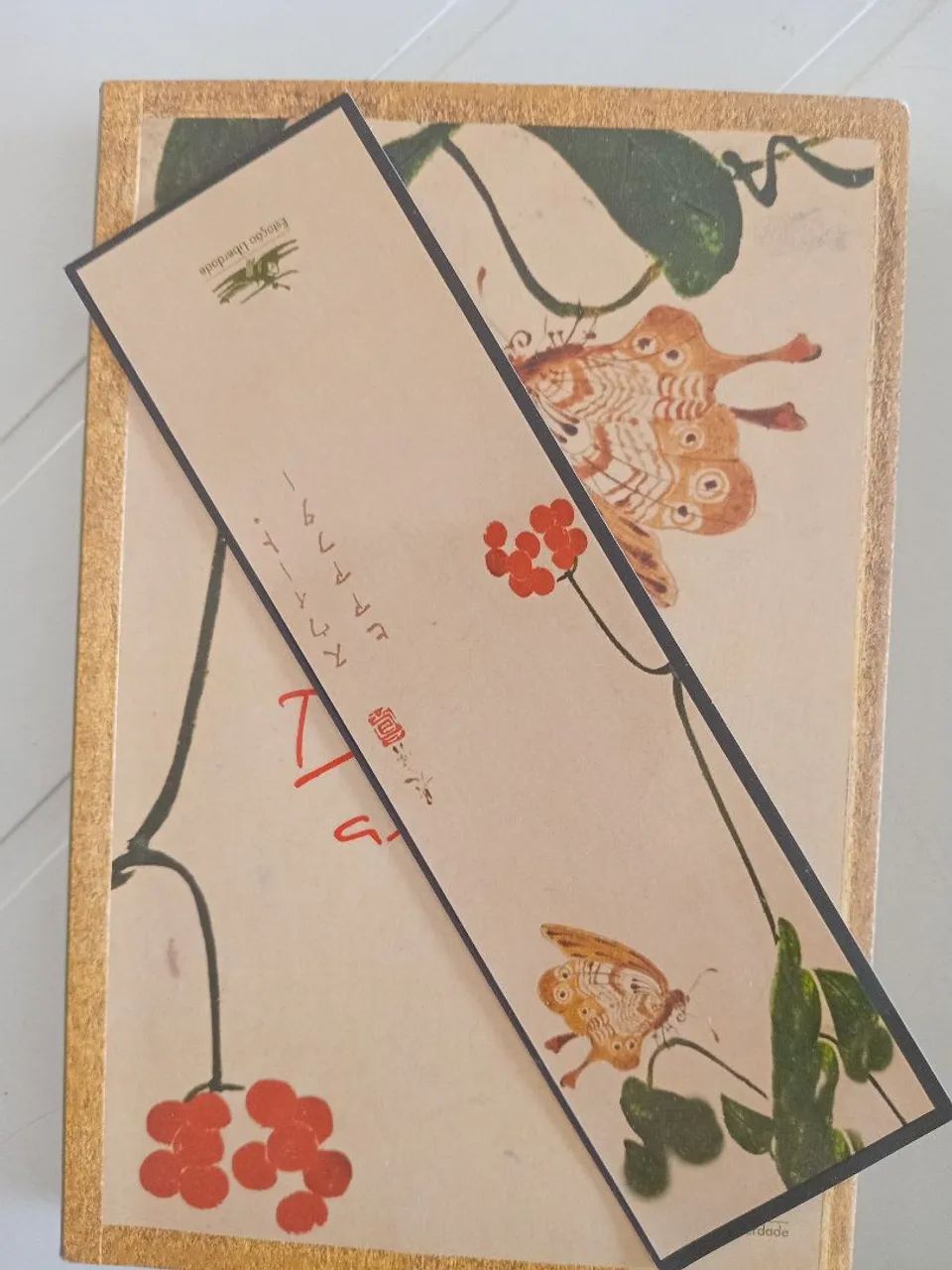 Doce Amanhã livro  - Foto 3